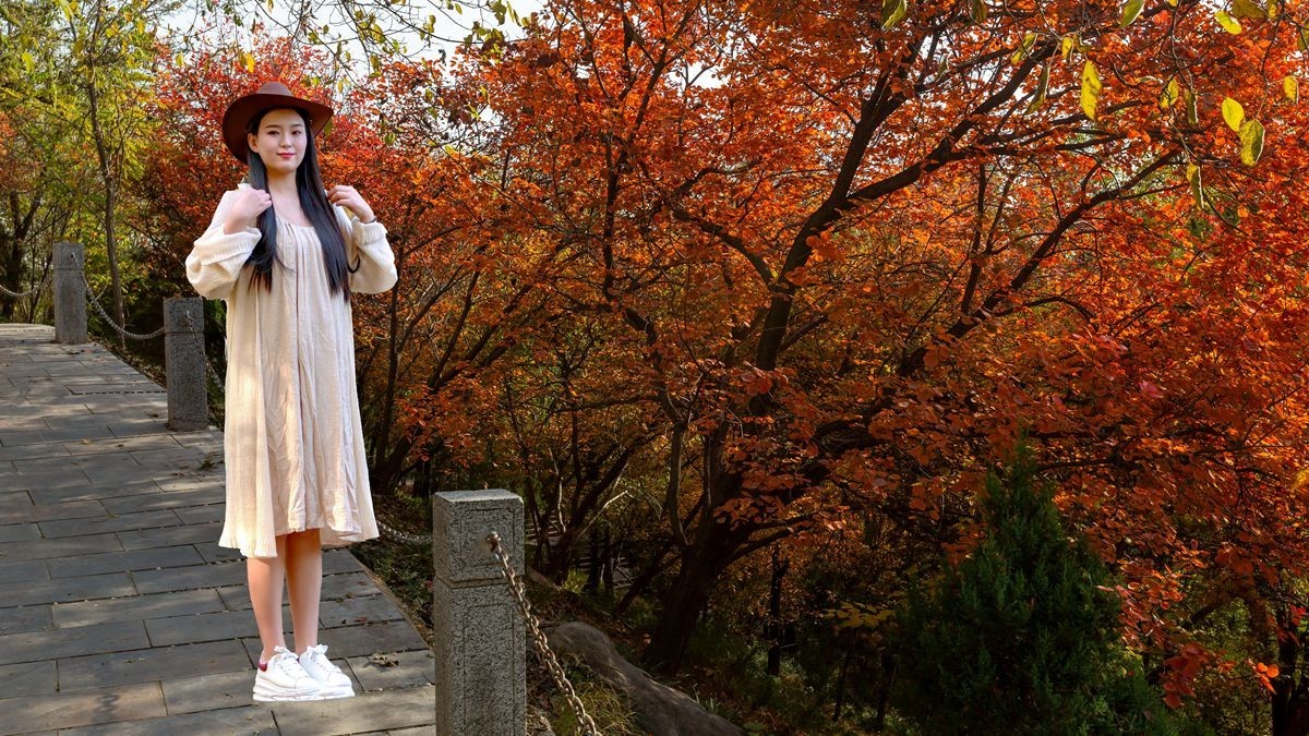 裕西公园的秋景