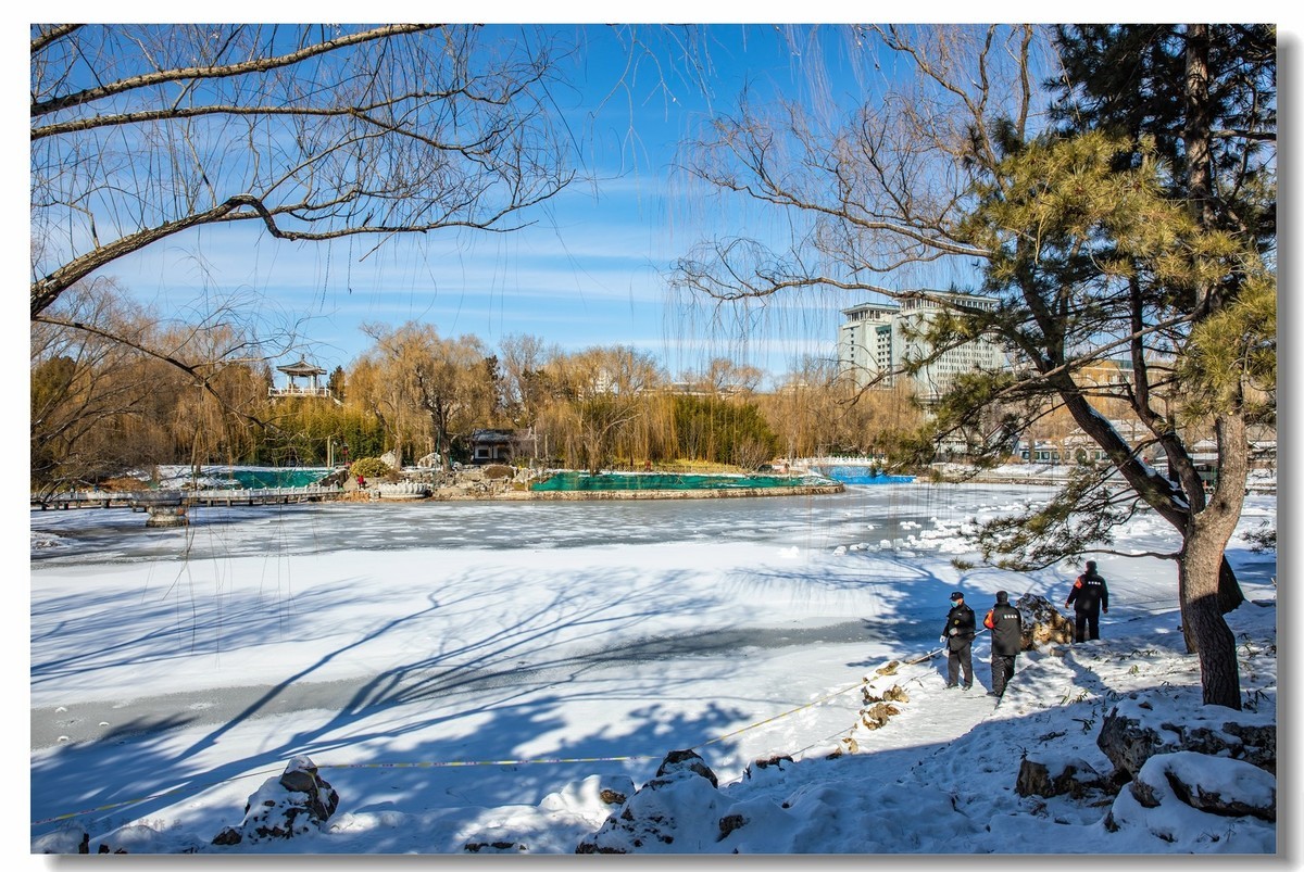 雪后紫竹院公园
