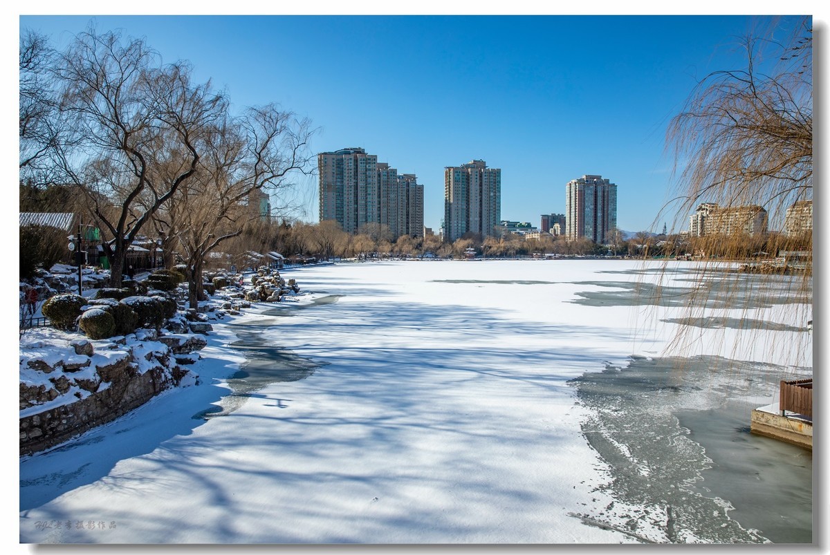 雪后紫竹院公园