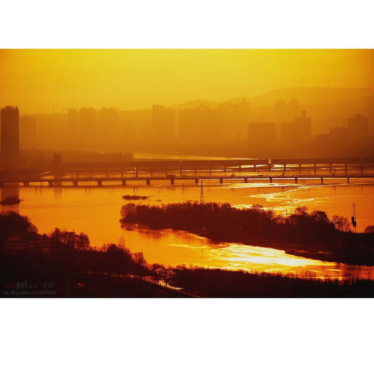 浮光跃金-中关村在线摄影论坛