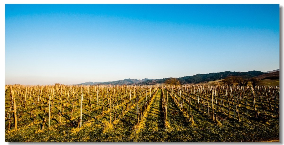 腾龙 SP AF10-24mm镜头下的--冬日阳光（南德）