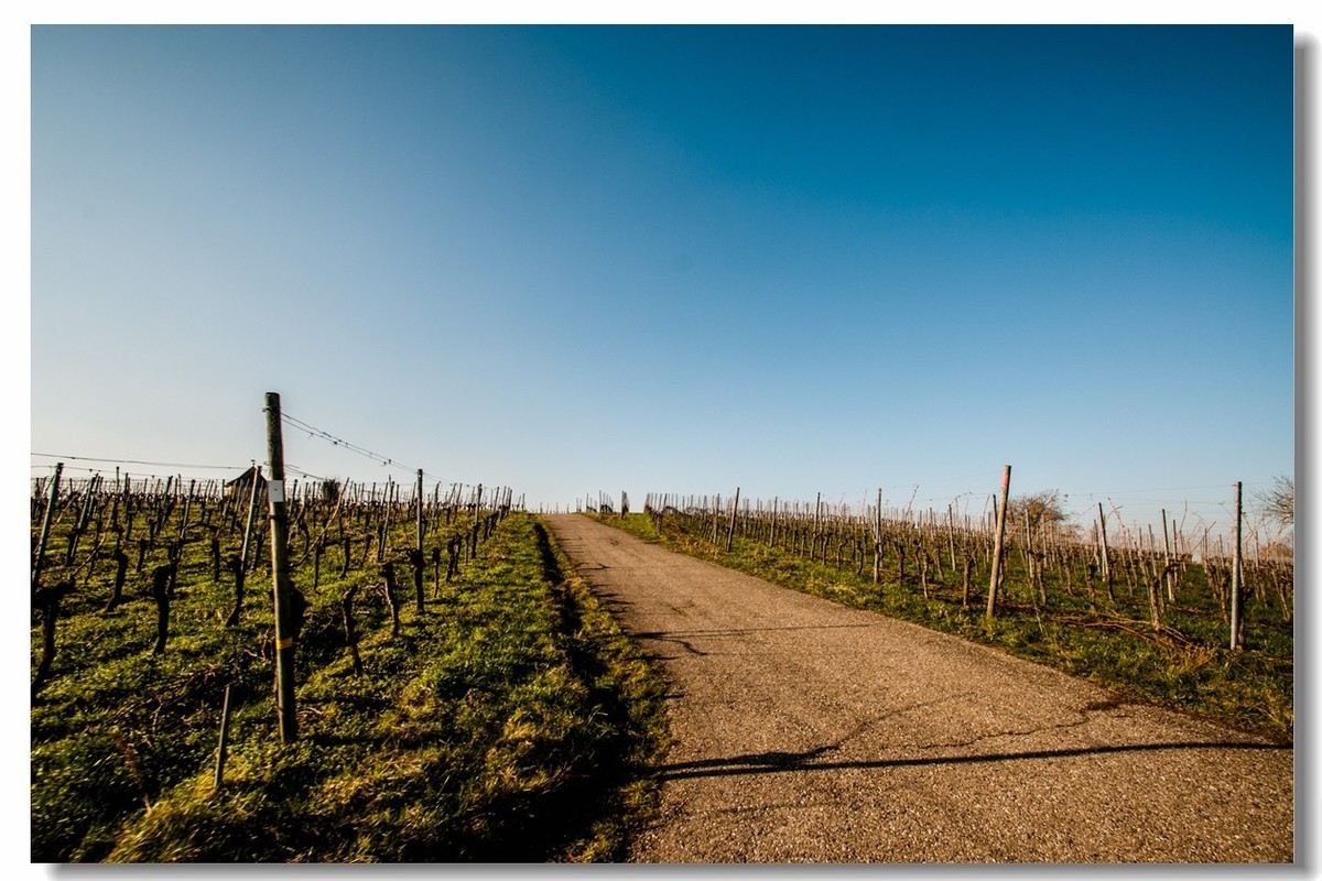 腾龙 SP AF10-24mm镜头下的--冬日阳光（南德）