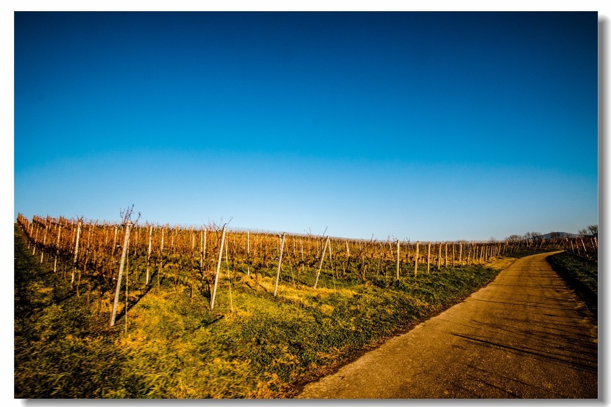 腾龙 SP AF10-24mm镜头下的--冬日阳光（南德）