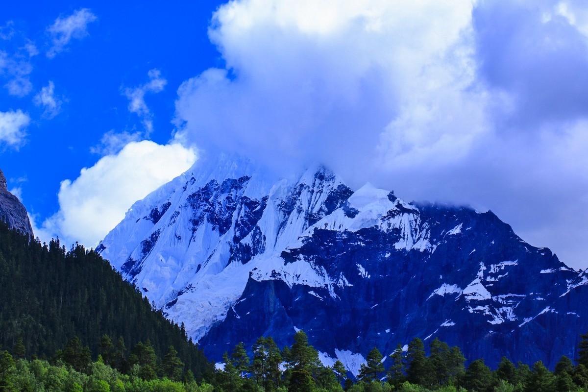 炎炎夏日送冰凉（上）