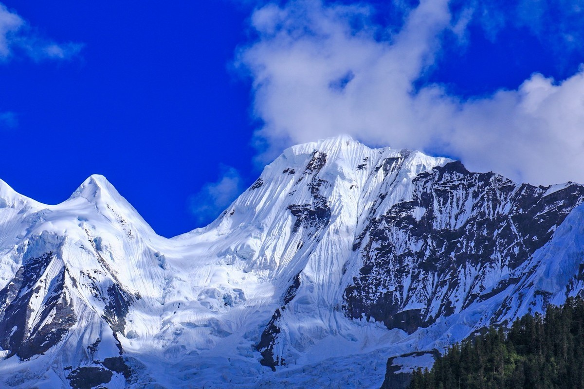 炎炎夏日送冰凉（上）