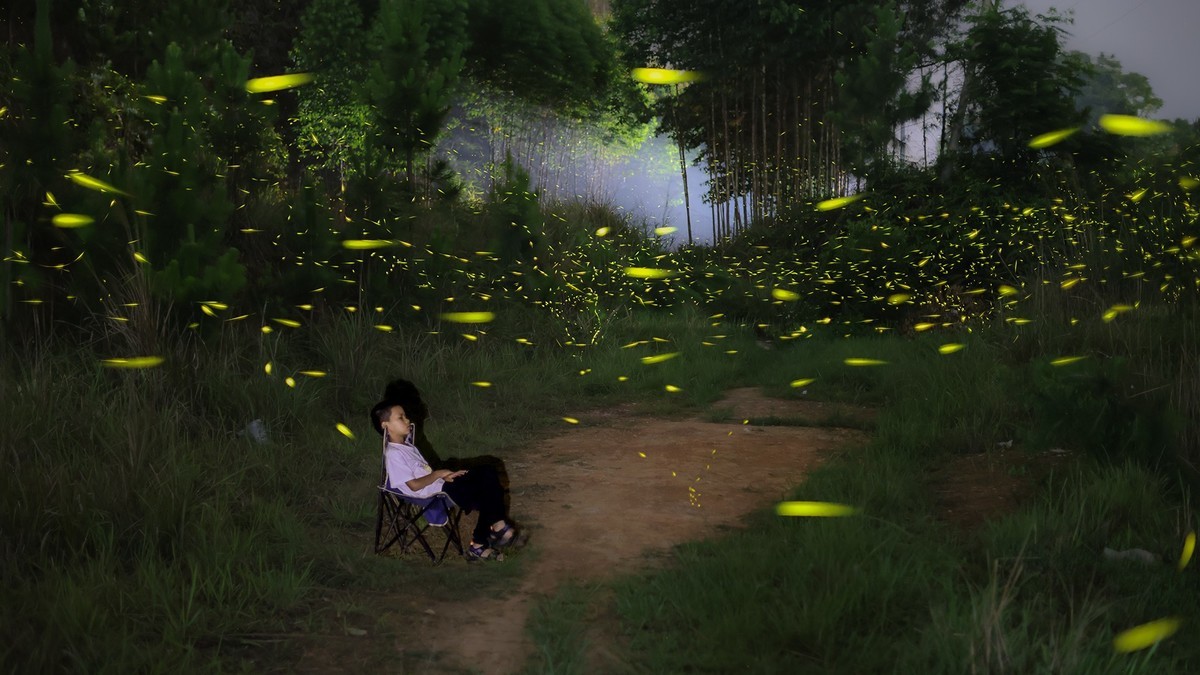 好久不见，乱发几张 吧