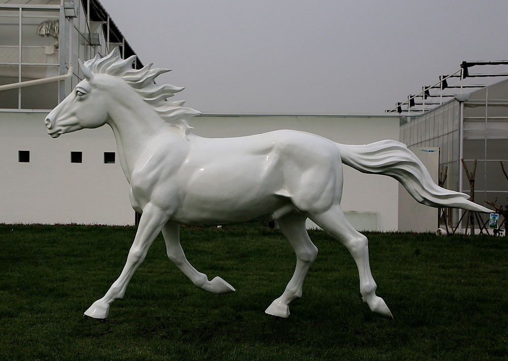 《不老松：纪实摄影》大运河农业生态文化产业示范区：骏马奔驰！！