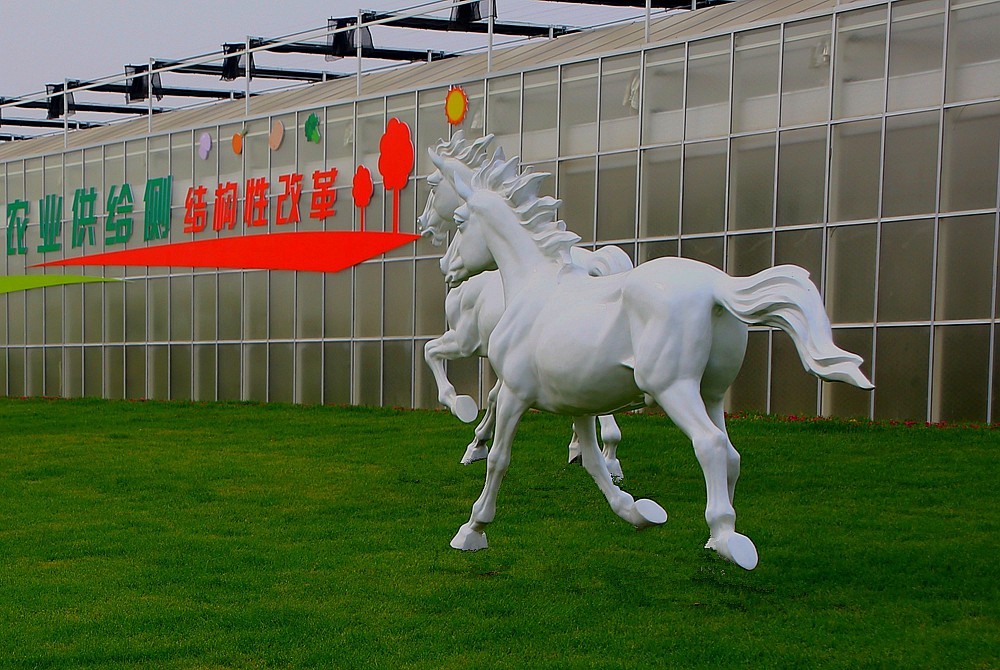 《不老松：纪实摄影》大运河农业生态文化产业示范区：骏马奔驰！！