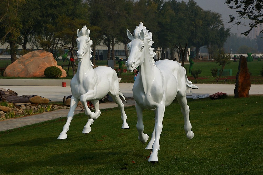 《不老松：纪实摄影》大运河农业生态文化产业示范区：骏马奔驰！！