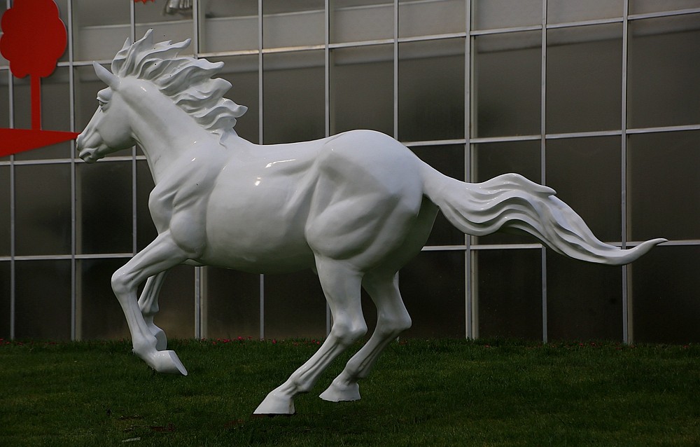 《不老松：纪实摄影》大运河农业生态文化产业示范区：骏马奔驰！！