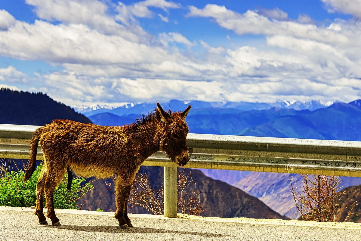 2019.06.进藏回顾 《昌都·邦达·怒江七十二道拐》