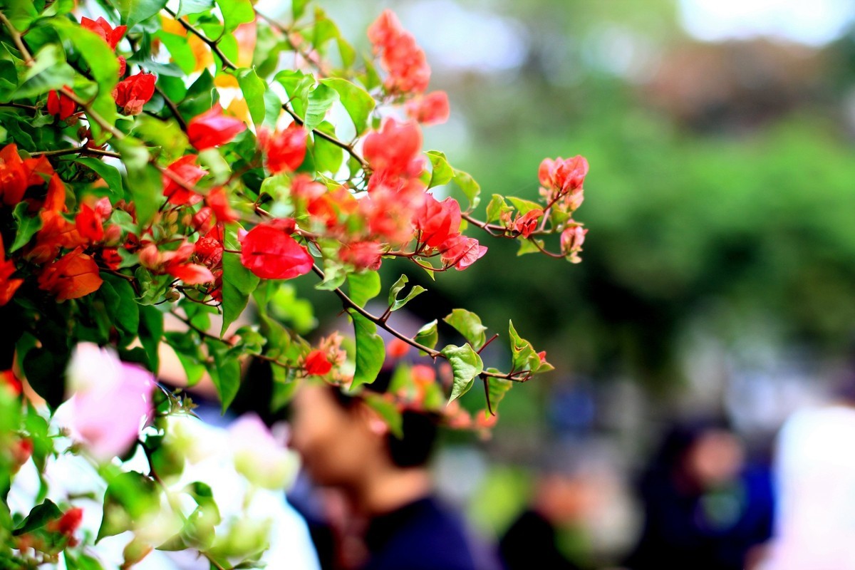 立冬时节园林景色！