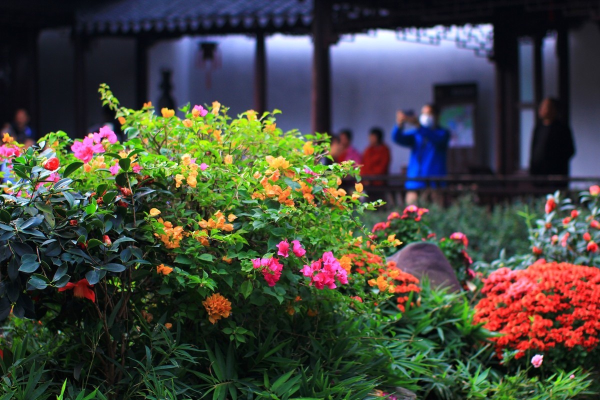 立冬时节园林景色！