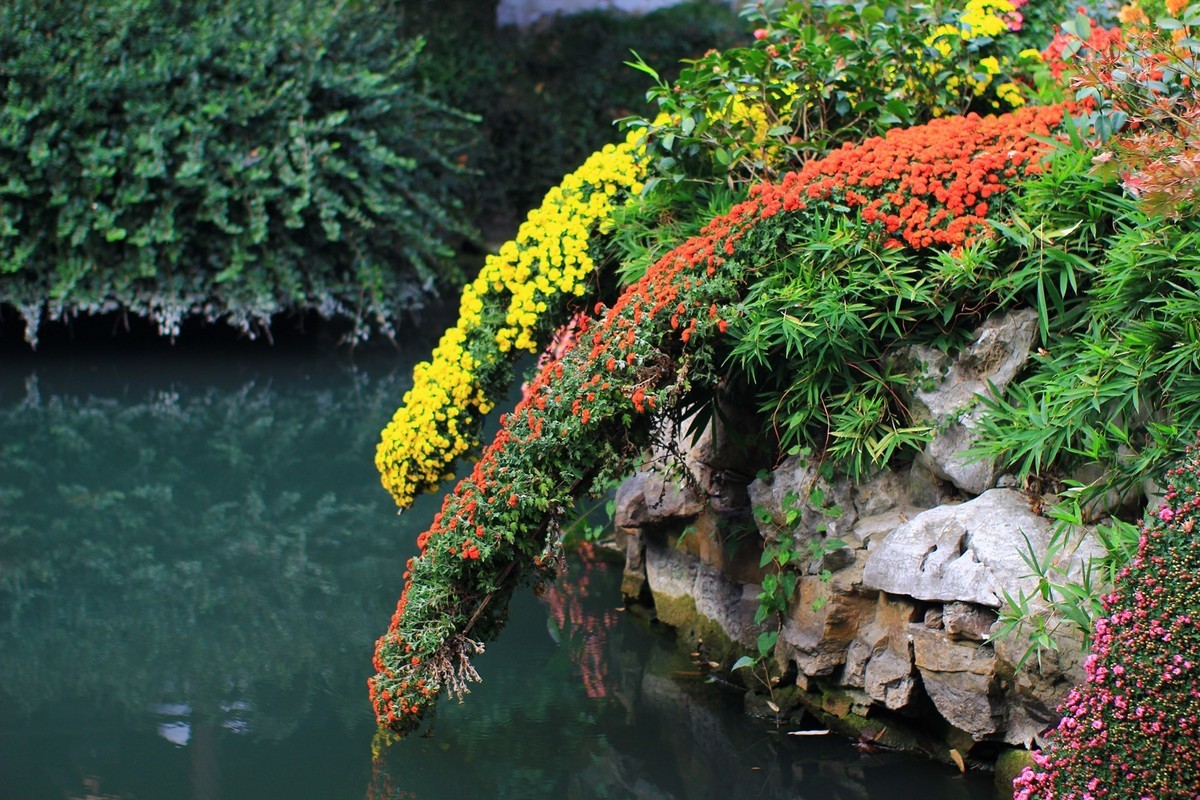 立冬时节园林景色！