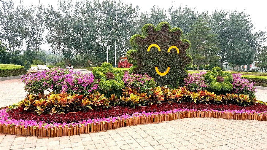 《不老松：纪实摄影》大美沧州系列報道：〕狮城公园！ (02)