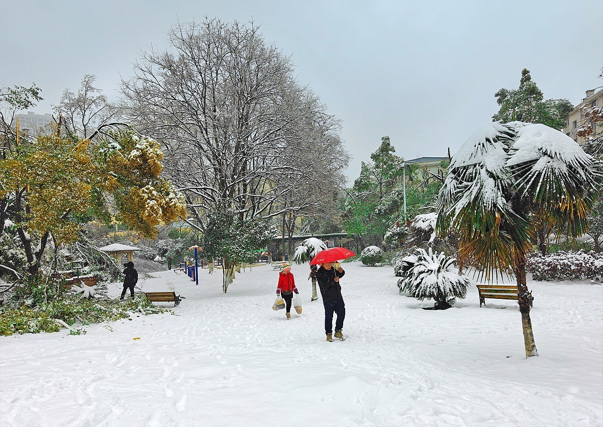 小区雪景