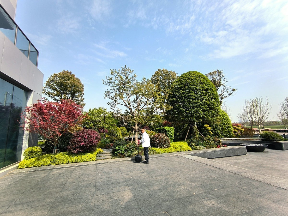 漫步星城 走街串巷（679）润和大泽湖