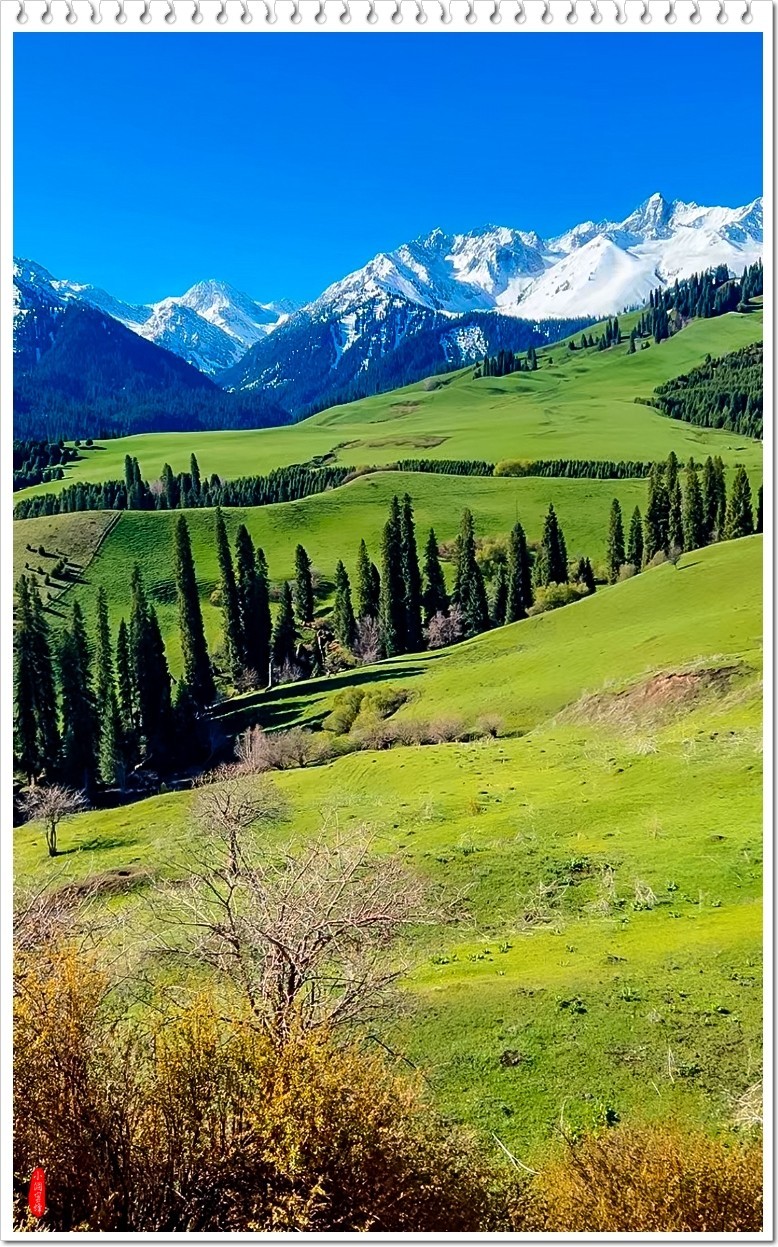 2025年-新疆风光纪实抓拍-0457