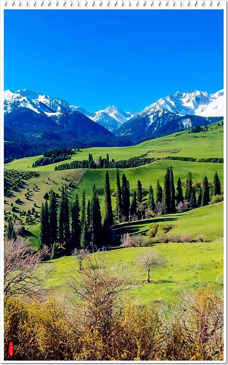 2025年-新疆风光纪实抓拍-0459