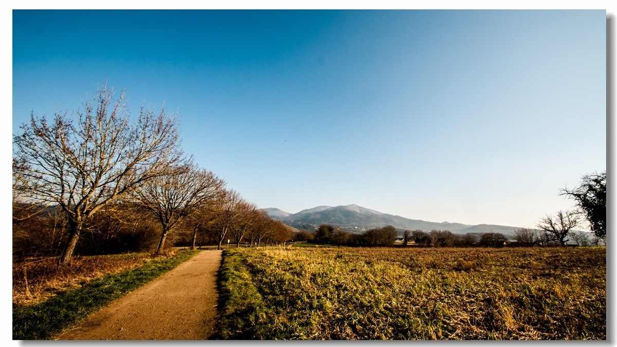 腾龙 SP AF10-24mm镜头下的--冬日阳光（南德）