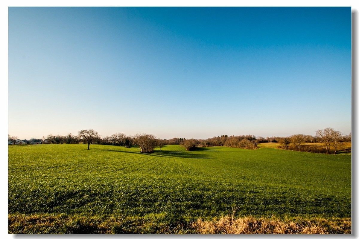 腾龙 SP AF10-24mm镜头下的--冬日阳光（南德）