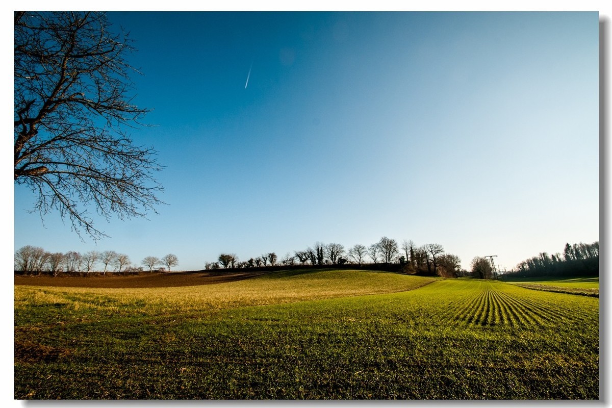 腾龙 SP AF10-24mm镜头下的--冬日阳光（南德）