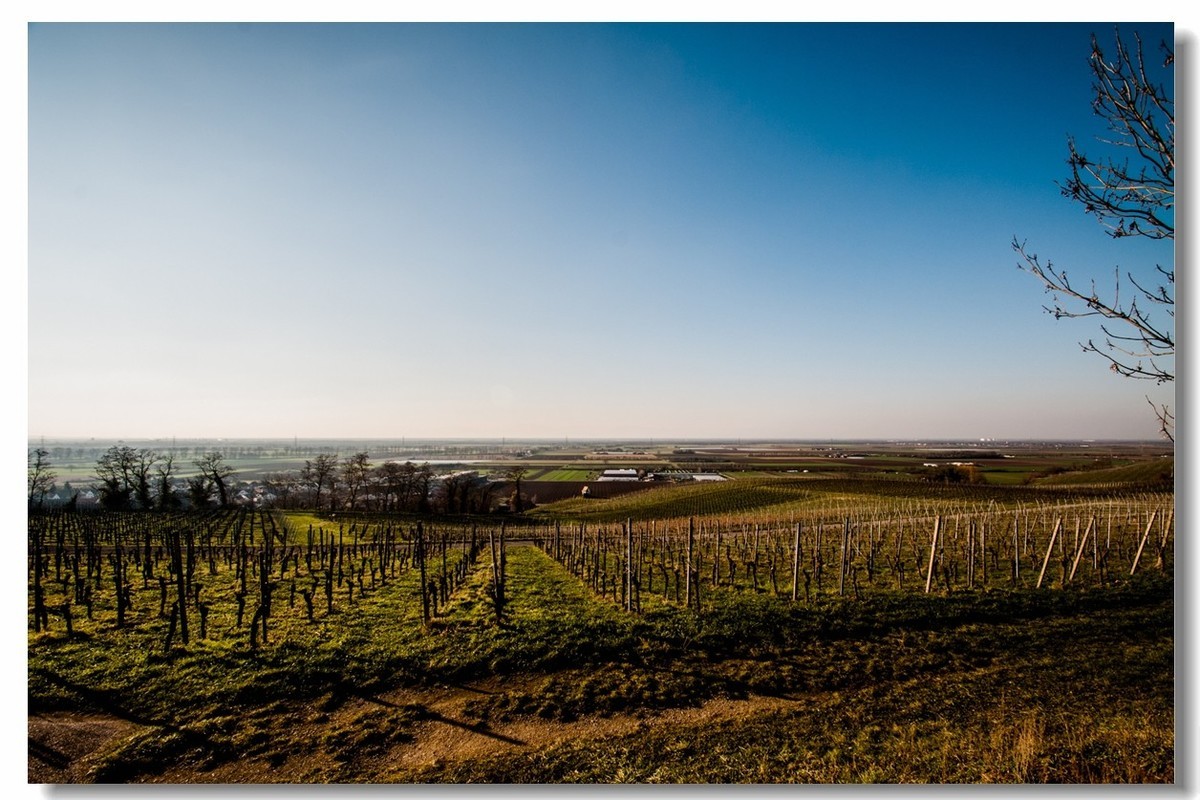 腾龙 SP AF10-24mm镜头下的--冬日阳光（南德）