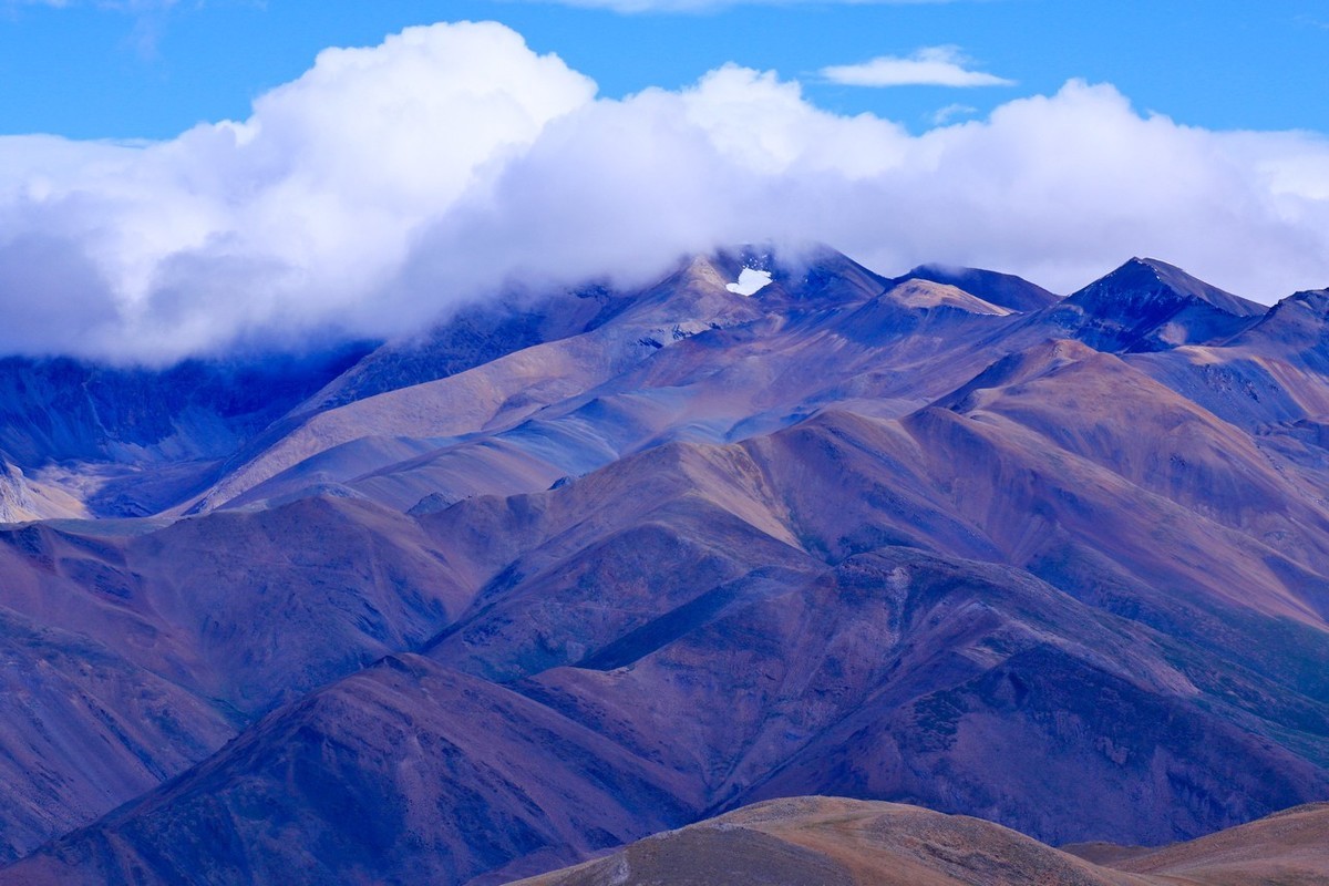 炎炎夏日送冰凉（上）