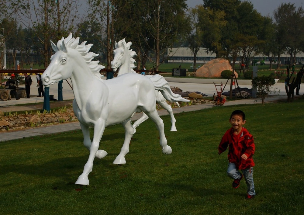 《不老松：纪实摄影》大运河农业生态文化产业示范区：骏马奔驰！！