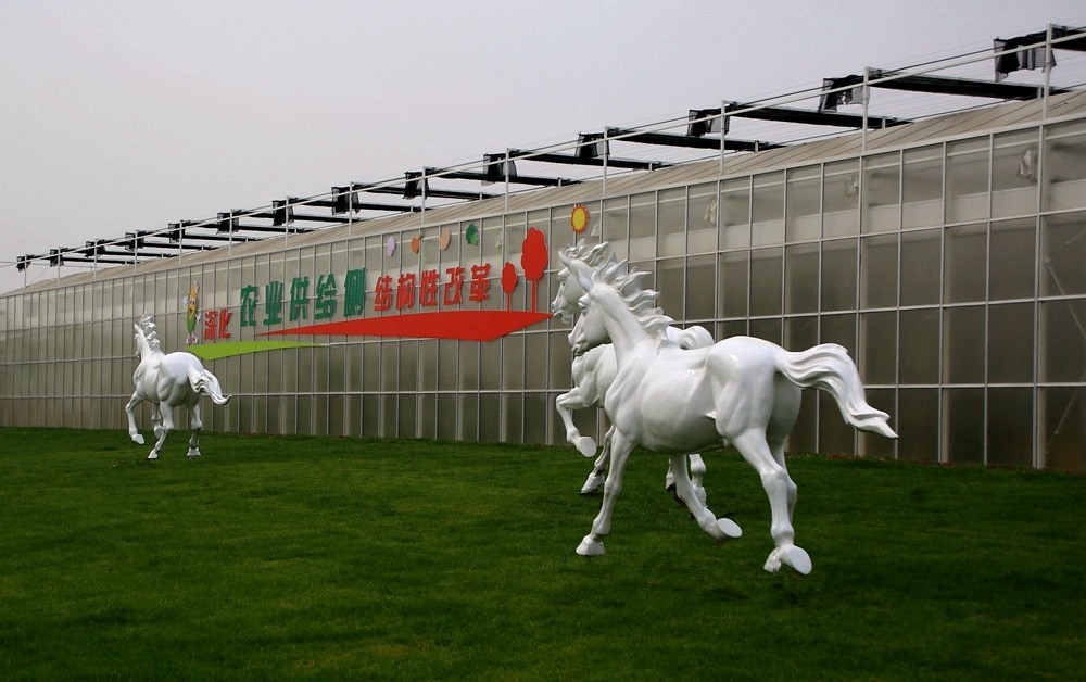 《不老松：纪实摄影》大运河农业生态文化产业示范区：骏马奔驰！！