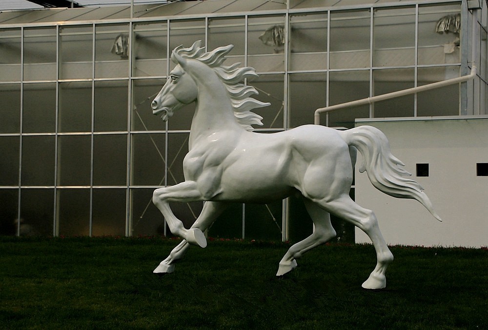 《不老松：纪实摄影》大运河农业生态文化产业示范区：骏马奔驰！！