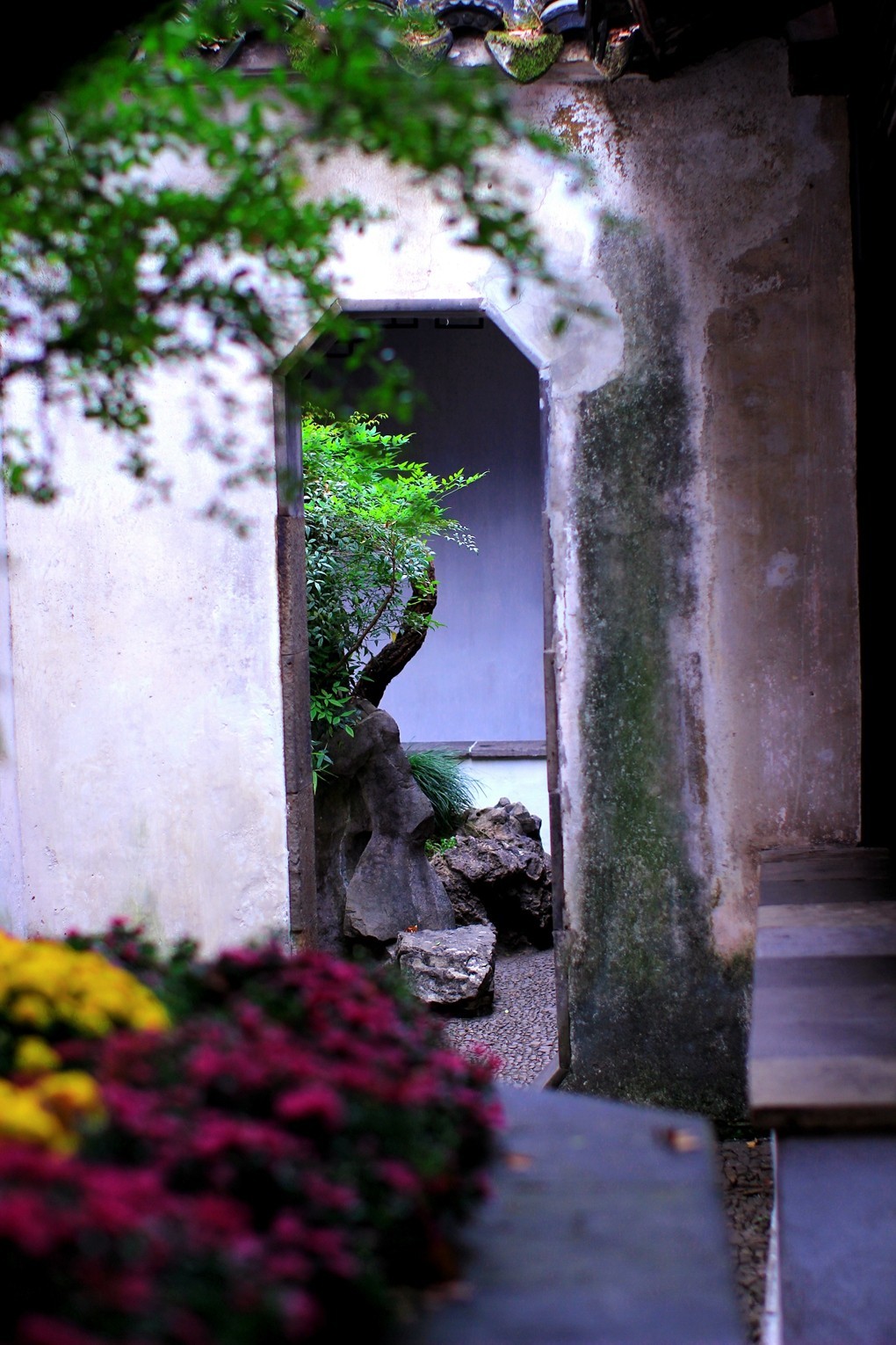 立冬时节园林景色！
