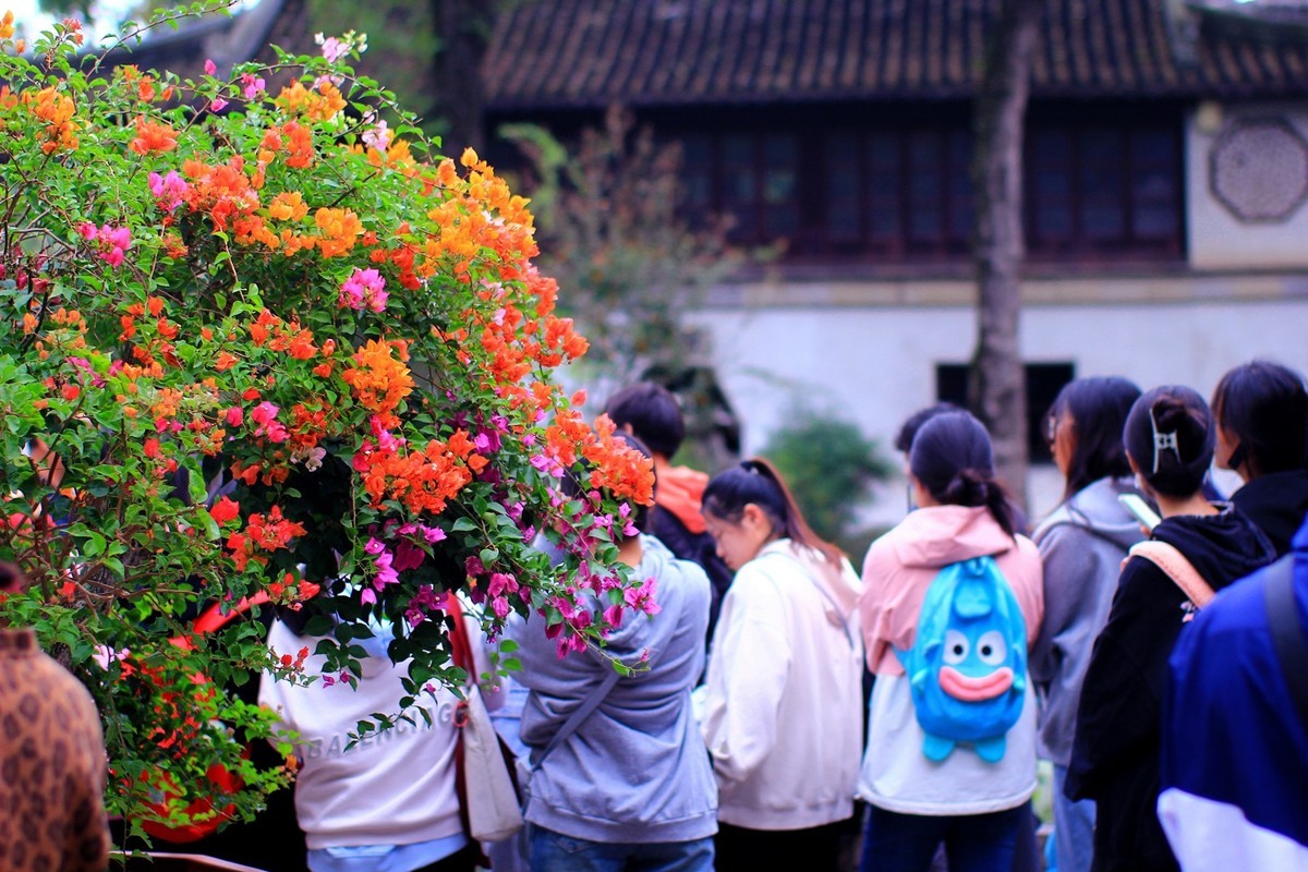 立冬时节园林景色！