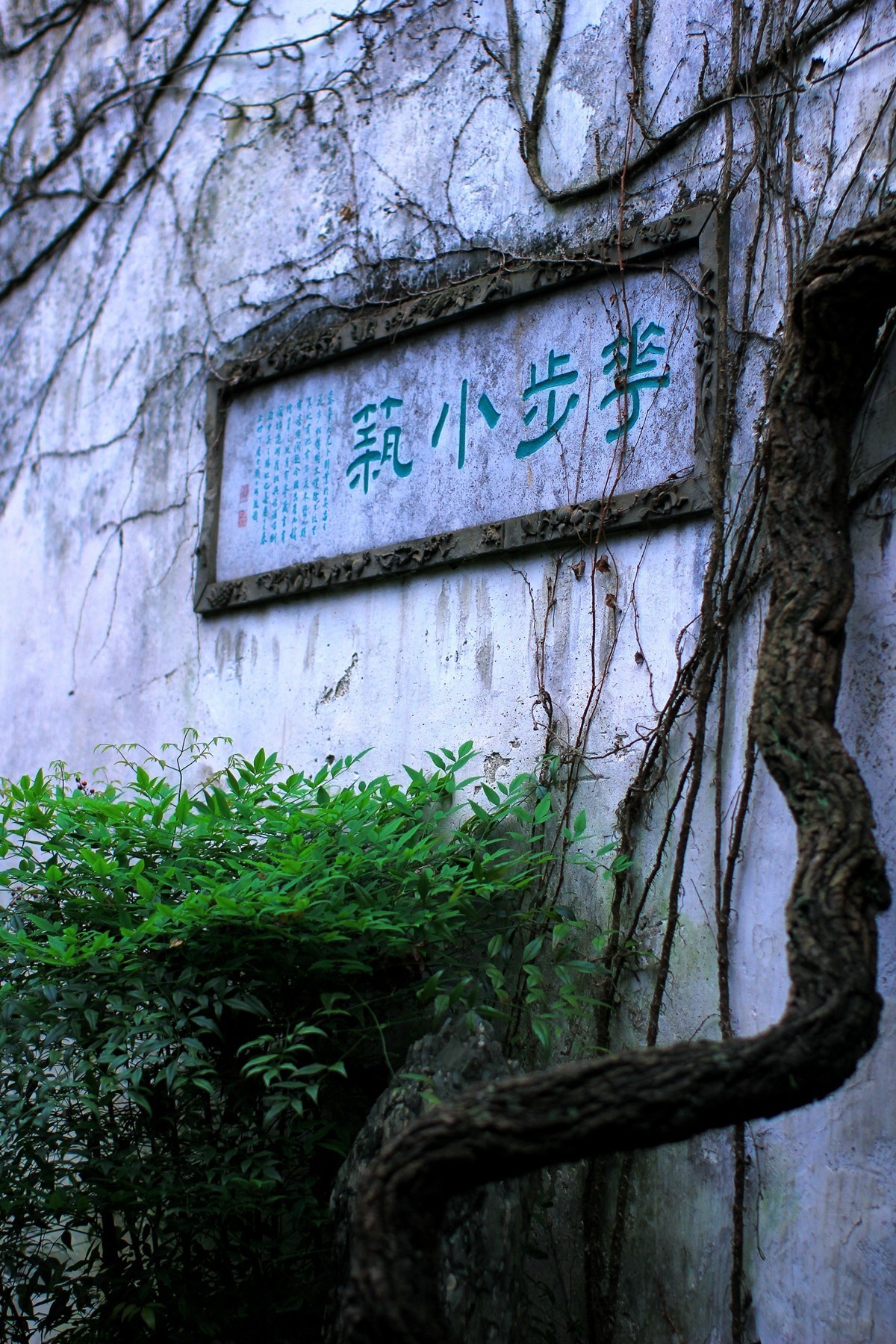 立冬时节园林景色！