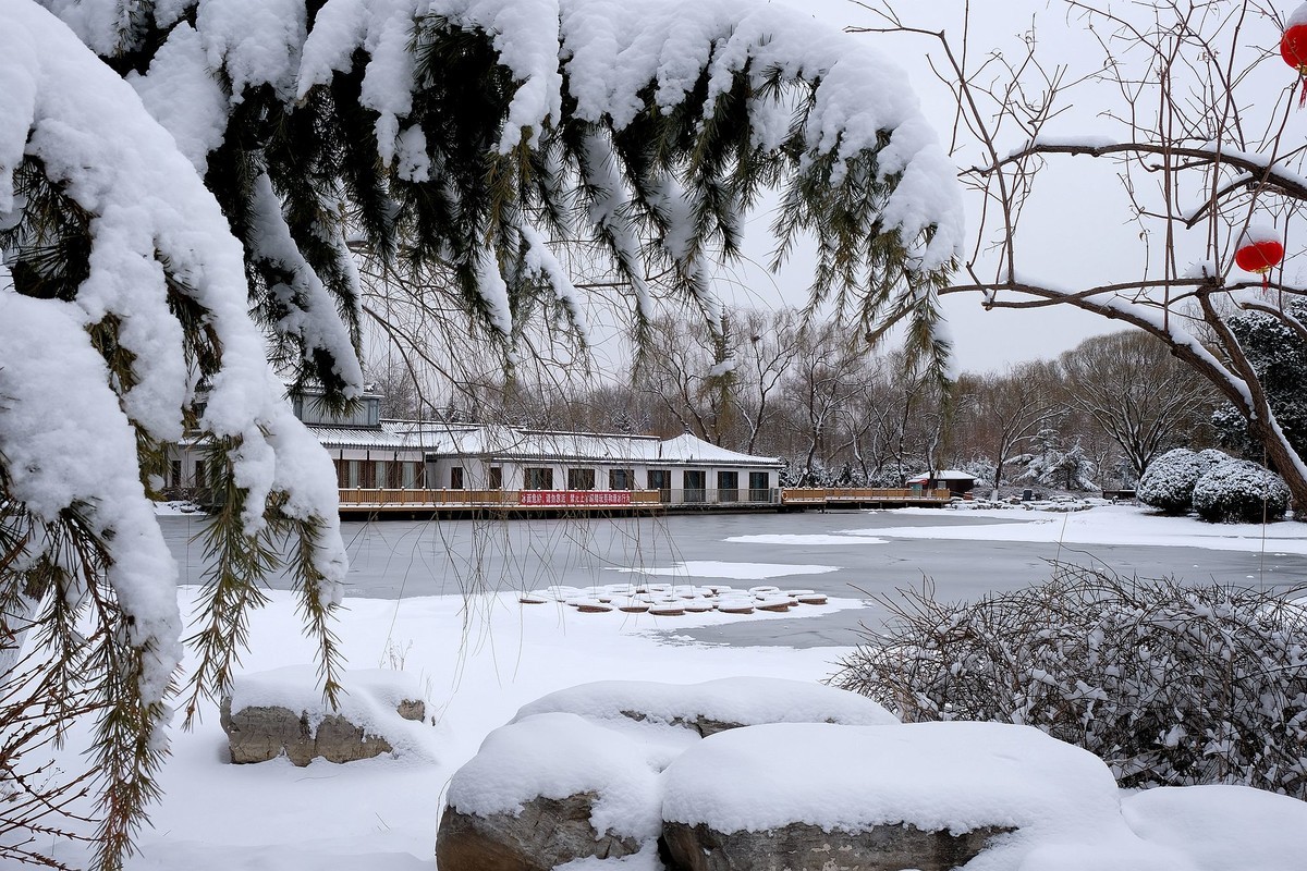 龙年初雪