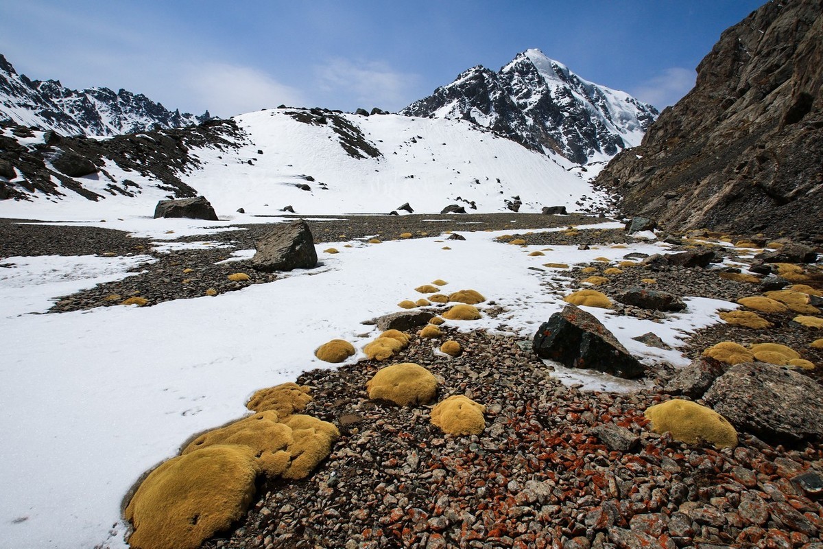 走进巴尔斯雪山