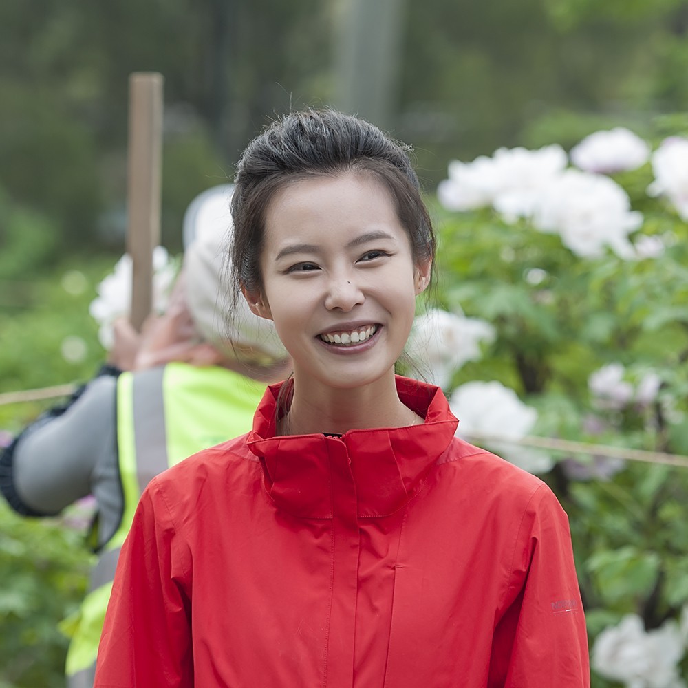 爱美丽，爱牡丹花开
