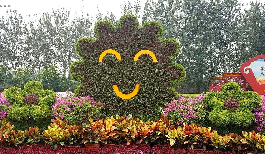 《不老松：纪实摄影》大美沧州系列報道：〕狮城公园！ (02)