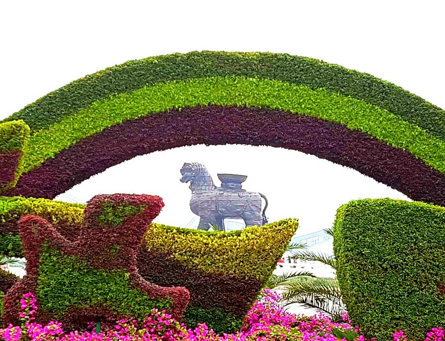 《不老松：纪实摄影》大美沧州系列報道：〕狮城公园！ (02)