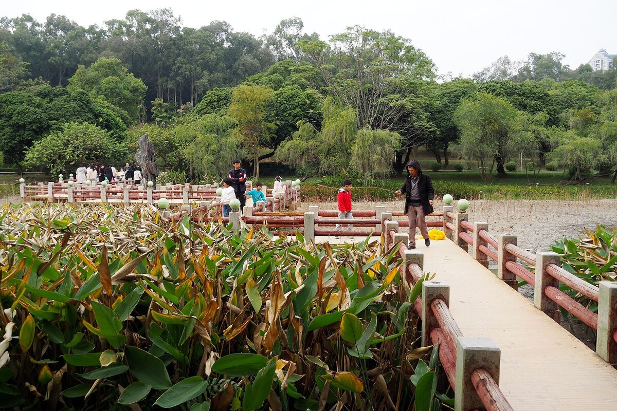 中山——紫马岭公园（2）