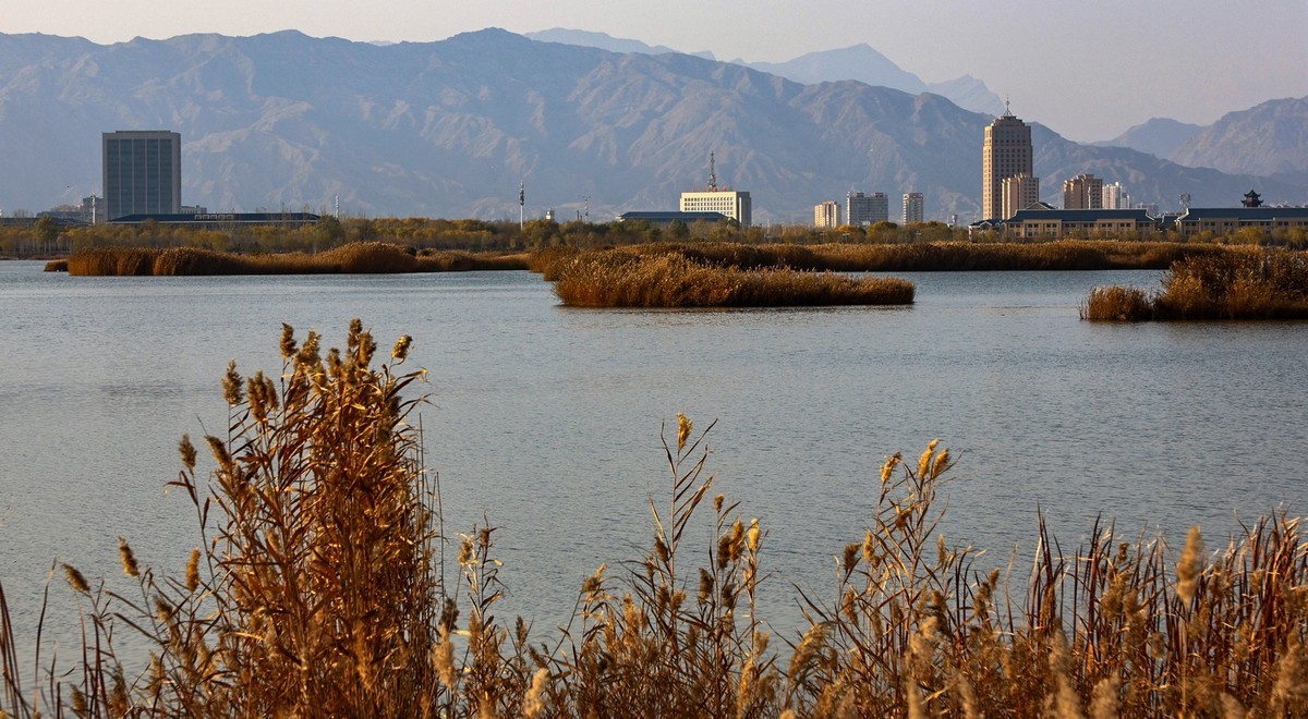 zol论坛>摄影论坛>canon数码相机论坛>佳能eosr8论坛>中关村在线摄影