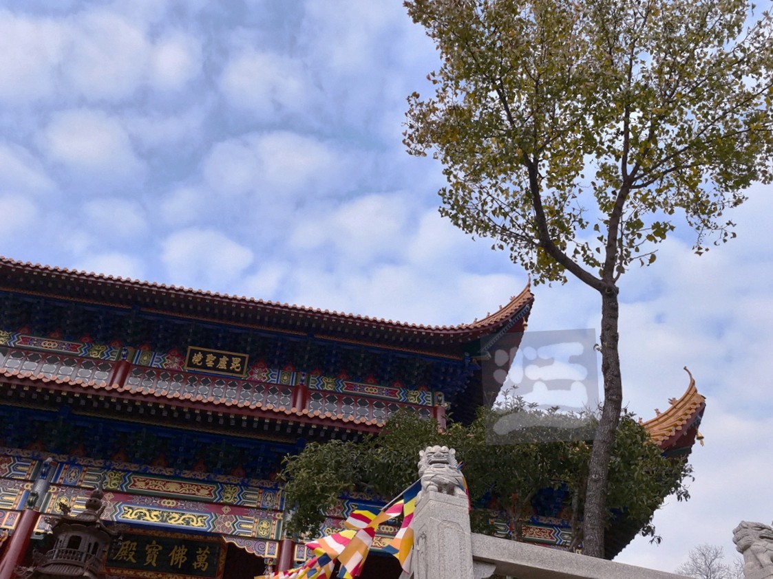 宝通寺之秋4——武汉随笔-中关村在线摄影论坛