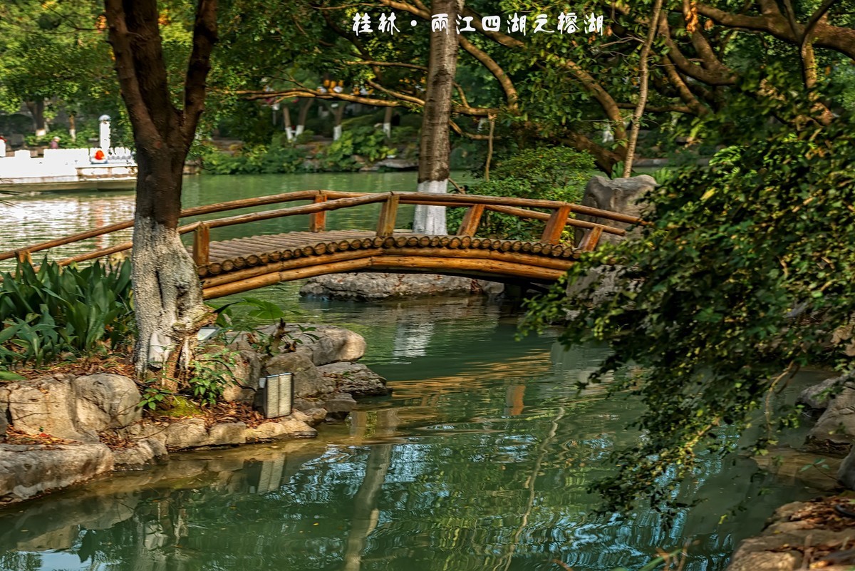 桂林·两江四湖之榕湖(2)-中关村在线摄影论坛