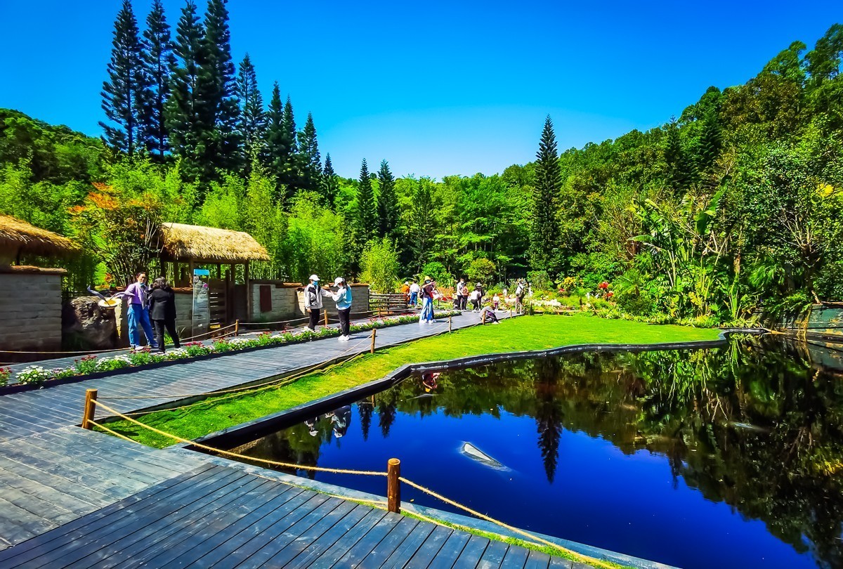 深圳仙湖植物园 掠影-中关村在线摄影论坛