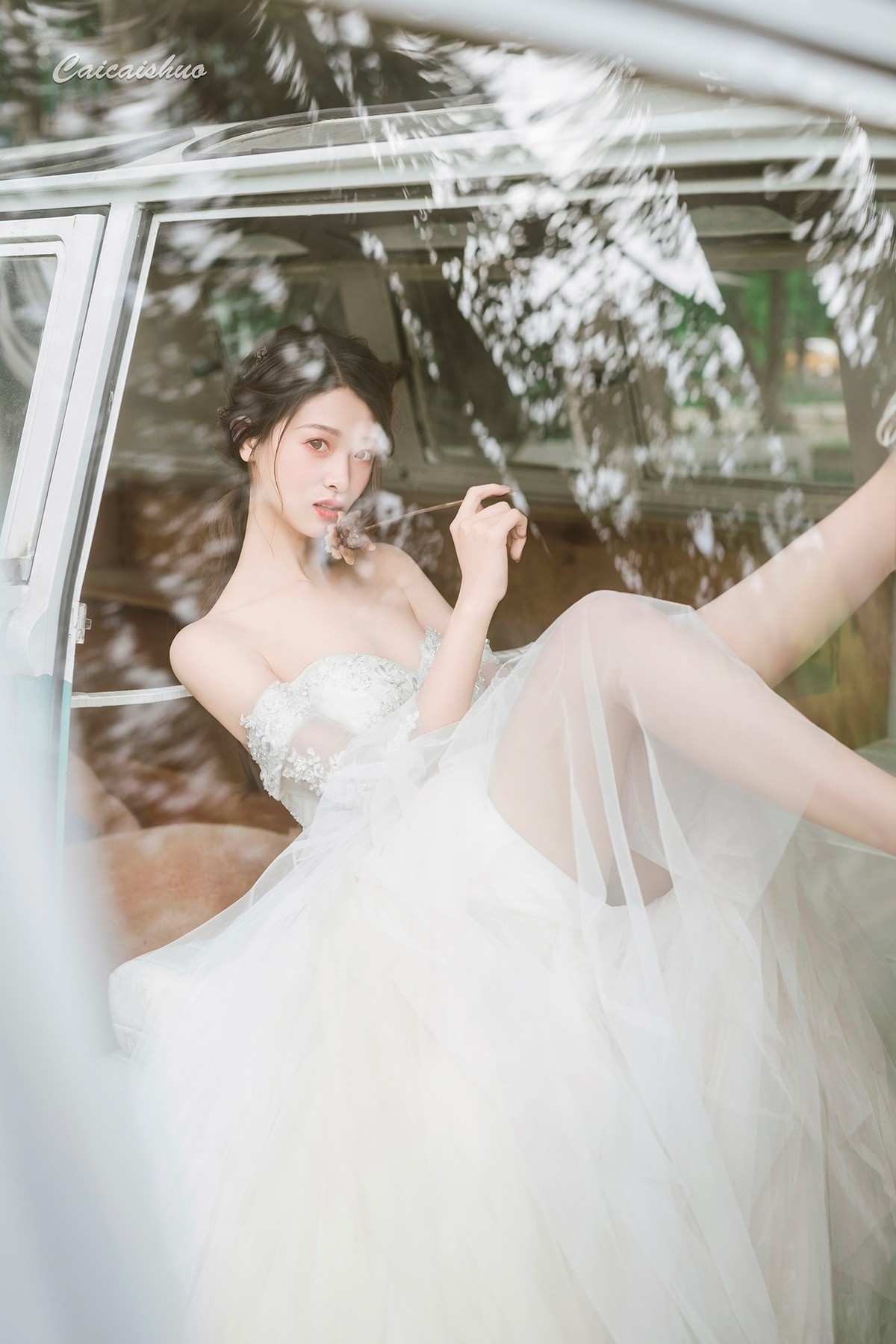 【菜々手摄影】夏野蝉鸣