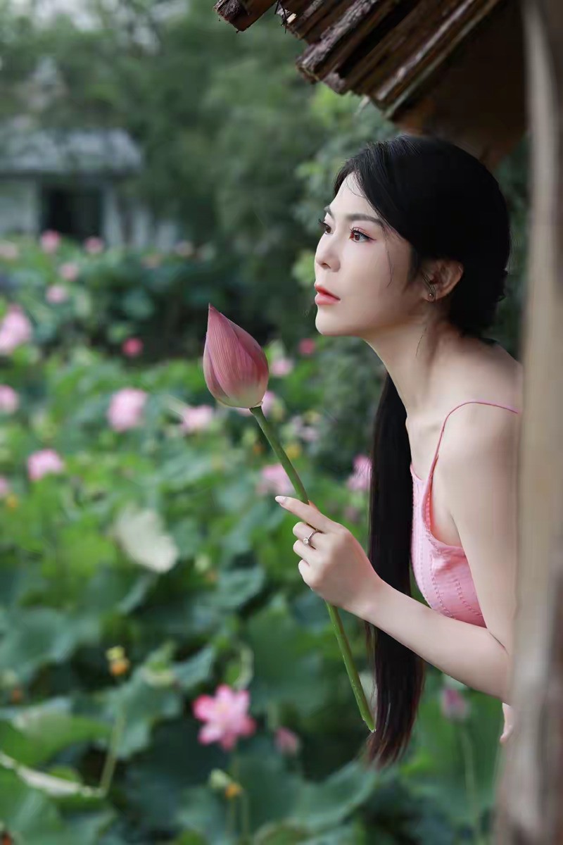 荷花美人