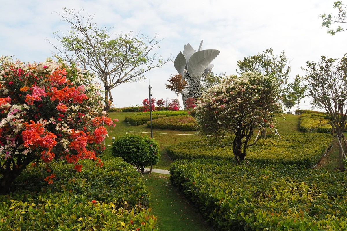 崖城——三角梅基地（2）