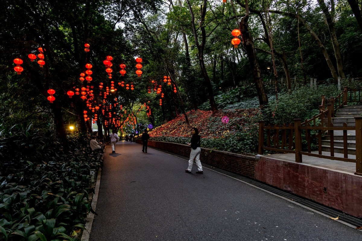 夜拍新春灯会-中关村在线摄影论坛