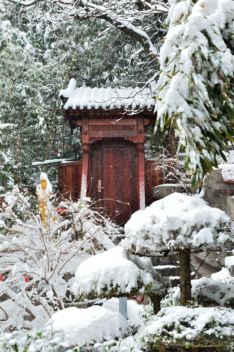 【视觉光影】瑞 雪 泉 城 （19）-中关村在线摄影论坛