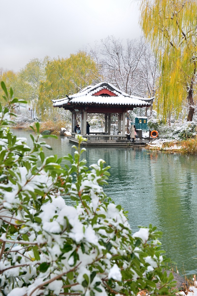 【视觉光影】瑞 雪 泉 城 （24）-中关村在线摄影论坛